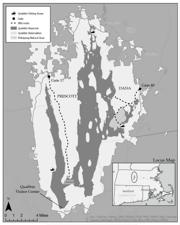 Figure 1. Map of Quabbin Reservation and Breeding Bird Survey routes.