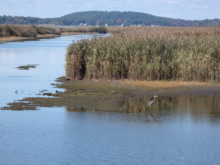 The North Pool Impoundment. All photographs by the author.