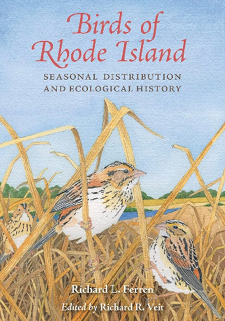 Birds of Rhode Island