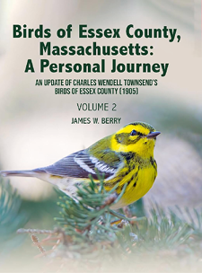 Birds of Essex County, Massachusetts: A Personal Journey Vol. 2